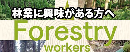 forestry workers